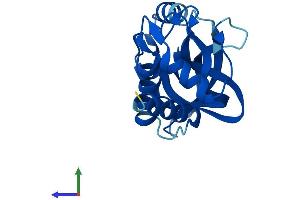 AlphaFold protein structure predicition of Mouse Recombinant Chac2 Protein, UniprotID Q9CQG1