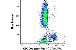 Flow cytometry surface staining pattern of human peripheral whole blood stained using anti-human CD300e (UP-H2) purified antibody (concentration in sample 4 μg/mL, GAM APC).