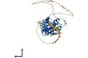 AlphaFold protein structure predicition of Mouse Recombinant Smok2b Protein, UniprotID Q9QYZ3
