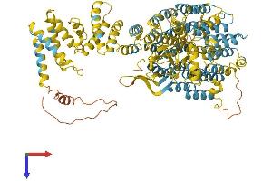 AlphaFold protein structure predicition of Mouse Recombinant Psmd2 Protein, UniprotID Q8VDM4