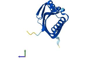 AlphaFold protein structure predicition of Mouse Recombinant Nutf2 Protein, UniprotID P61971