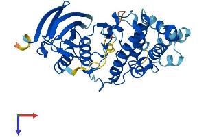 AlphaFold protein structure predicition of Human Recombinant MAPK13 Protein, UniprotID O15264