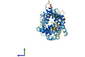 AlphaFold protein structure predicition of Human Recombinant SLC25A25 Protein, UniprotID Q6KCM7