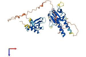 AlphaFold protein structure predicition of Mouse Recombinant Irf8 Protein, UniprotID P23611