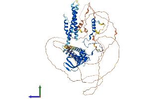 AlphaFold protein structure predicition of Human Recombinant CNOT3 Protein, UniprotID O75175