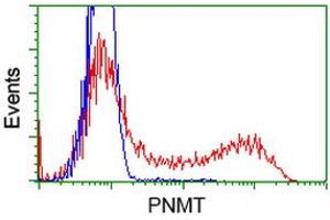 Flow Cytometry (FACS) image for anti-Phenylethanolamine N-Methyltransferase (PNMT) antibody (ABIN1500310) (PNMT anticorps)
