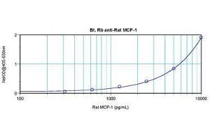 Image no. 1 for anti-Chemokine (C-C Motif) Ligand 2 (CCL2) antibody (Biotin) (ABIN465762)