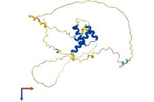 AlphaFold protein structure predicition of Human Recombinant HOXC4 Protein, UniprotID P09017