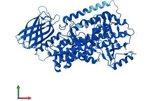 AlphaFold protein structure predicition of Mouse Recombinant Alox12 Protein, UniprotID P39655