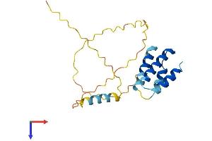 AlphaFold protein structure predicition of Human Recombinant CT45A5 Protein, UniprotID P0DMU8