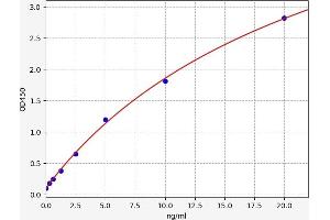 Typical standard curve (RAP1GDS1 Kit ELISA)