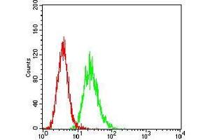 Flow cytometric analysis of Hela cells using CD6 mouse mAb (green) and negative control (red). (CD6 anticorps  (AA 18-199))