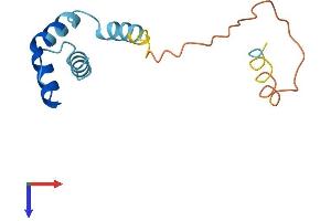 AlphaFold protein structure predicition of Mouse Recombinant Rplp2 Protein, UniprotID P99027