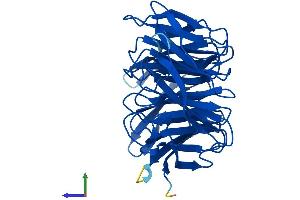 AlphaFold protein structure predicition of Mouse Recombinant Ciao1 Protein, UniprotID Q99KN2