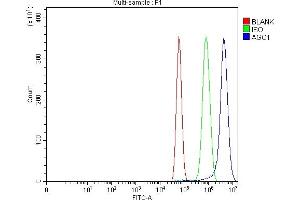 Flow Cytometry analysis of U87 cells using anti-AGO1 antibody (ABIN7602627). (AGO1 anticorps  (AA 9-405))