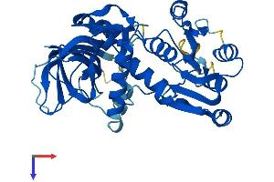 AlphaFold protein structure predicition of Human Recombinant CRYZL1 Protein, UniprotID O95825