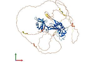 AlphaFold protein structure predicition of Human Recombinant CPEB2 Protein, UniprotID Q7Z5Q1