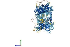 AlphaFold protein structure predicition of Mouse Recombinant Abcc10 Protein, UniprotID Q8R4P9