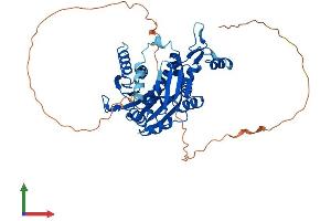 AlphaFold protein structure predicition of Mouse Recombinant Rnmt Protein, UniprotID Q9D0L8