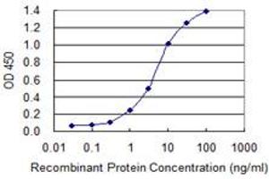 Detection limit for recombinant GST tagged HES1 is 0.