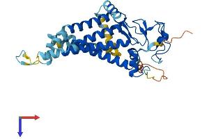 AlphaFold protein structure predicition of Human Recombinant ZDHHC4 Protein, UniprotID Q9NPG8