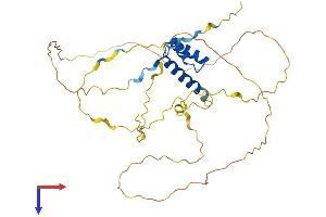 AlphaFold protein structure predicition of Human Recombinant ALX3 Protein, UniprotID O95076