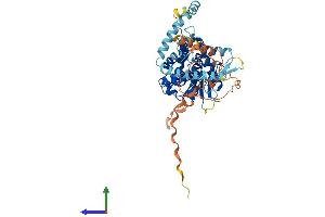 AlphaFold protein structure predicition of Mouse Recombinant Pnpla2 Protein, UniprotID Q8BJ56