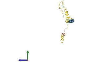 AlphaFold protein structure predicition of Mouse Recombinant Bex2 Protein, UniprotID Q9WTZ8