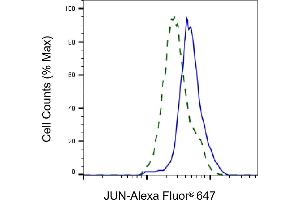 Validation of JUN knockdown using flow cytometry. (C-JUN anticorps)