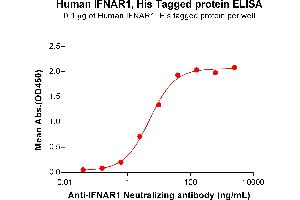 ELISA plate pre-coated by 1 μg/mL (100 μL/well) Human IF Protein, His Tag (ABIN6964273, ABIN7042727 and ABIN7042728) can bind Anti-IF Neutralizing antibody ABIN7478013 and ABIN7490965 in a linear range of 0.