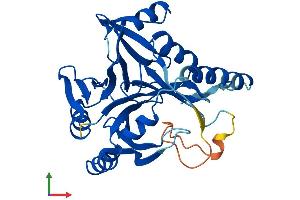 AlphaFold protein structure predicition of Human Recombinant GLOD4 Protein, UniprotID Q9HC38