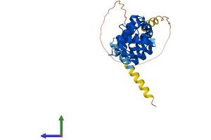 AlphaFold protein structure predicition of Human Recombinant DCUN1D4 Protein, UniprotID Q92564
