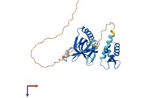 AlphaFold protein structure predicition of Human Recombinant RPA4 Protein, UniprotID Q13156