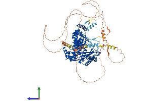 AlphaFold protein structure predicition of Human Recombinant POLK Protein, UniprotID Q9UBT6