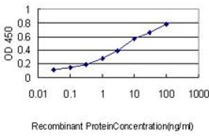 Detection limit for recombinant GST tagged PCNA is approximately 0. (PCNA anticorps  (AA 1-261))