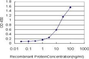 Detection limit for recombinant GST tagged DSE is approximately 0.