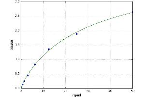 CD72 Molecule (CD72) ELISA Kit
