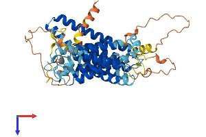 AlphaFold protein structure predicition of Human Recombinant SERINC3 Protein, UniprotID Q13530