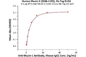 Mucin 1 (MUC1) (AA 1036-1155) protein (His tag)