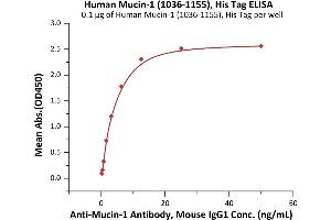 Immobilized Human Mucin-1 (1), His Tag (ABIN6938929,ABIN6950989) at 1 μg/mL (100 μL/well) can bind A-1 Antibody, Mouse IgG1 with a linear range of 0. (MUC1 Protein (AA 1036-1155) (His tag))