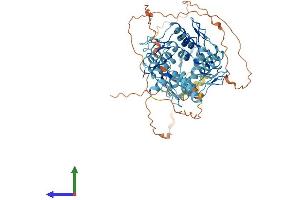 AlphaFold protein structure predicition of Human Recombinant ZNF805 Protein, UniprotID Q5CZA5