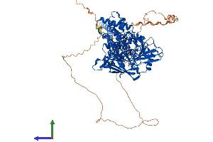AlphaFold protein structure predicition of Mouse Recombinant Kdm1a Protein, UniprotID Q6ZQ88