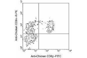 Flow Cytometry (FACS) image for anti-CD8b Molecule (CD8B) antibody (FITC) (ABIN371368) (CD8B anticorps  (FITC))