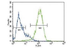 ABCG2 antibody flow cytometric analysis of HepG2 cells (right histogram) compared to a negative control (left histogram)