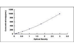 Thymic Stromal Lymphopoietin (TSLP) ELISA Kit