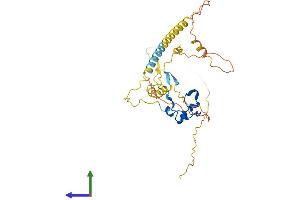AlphaFold protein structure predicition of Mouse Recombinant Cxxc5 Protein, UniprotID Q91WA4