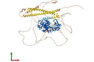 AlphaFold protein structure predicition of Mouse Recombinant Mylk3 Protein, UniprotID Q3UIZ8