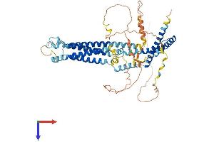 AlphaFold protein structure predicition of Mouse Recombinant Marveld2 Protein, UniprotID Q3UZP0