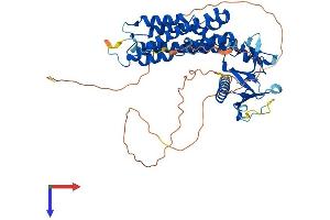 AlphaFold protein structure predicition of Mouse Recombinant Arhgef3 Protein, UniprotID Q91X46