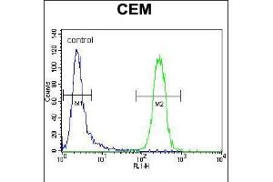 Flow cytometric analysis of CEM cells (right histogram) compared to a negative control cell (left histogram).